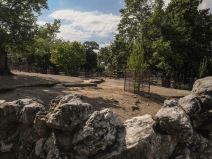 beo zoo vrt zoološki vrt fotografije