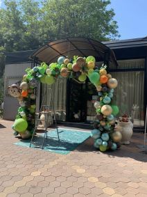 ceca raznatovic unuk zeljko prvi rodjendan