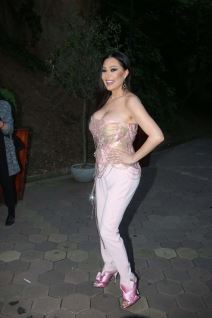 ceca raznatovic bogdana zeljko prvi rodjendan