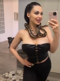 aleta ousn silikoni zmija 