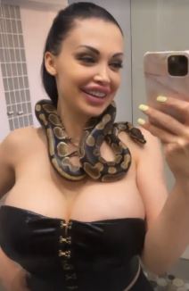 aleta ousn silikoni zmija 