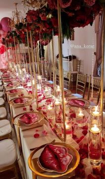 ana korac rodjendan foto, video