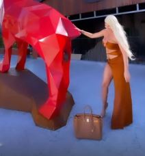 jelena karleusa pipa statuu foto