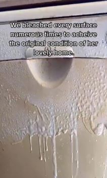 stan pusaca fleke ciscenje