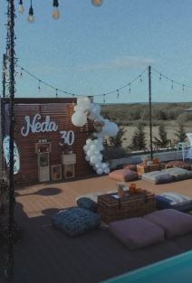 nemanja nedovic rodjendan mina milutinovic place aleksandra prijovic