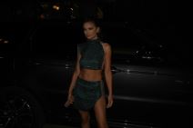 milica pavlovic u minicu