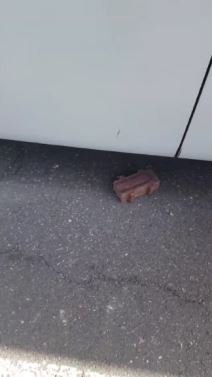 kamenovan autobus u skoplju video