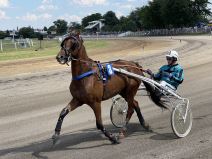 Nikola Jokić objasnio zašto voli konje