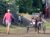 Nikola Jokić nije znao da ide na Ol star bio sa konjima