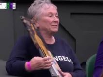 vimbldon navijacica novak djokovic