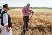 nacionalni praznik bunjevaca subotica