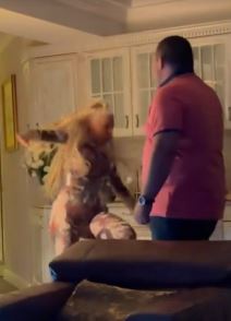 jelena karleusa pala video