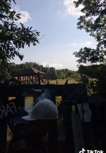 farma kuca u lisovicu video