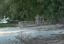 dunavski maldivi srpski tajland ostrvo