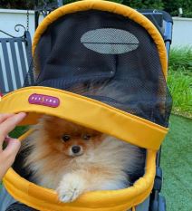 Janjus o detaljima večere sa Anom Korać