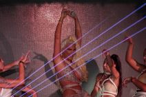 jelena karleusa pala