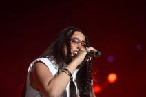 exit stranac upao u dunav