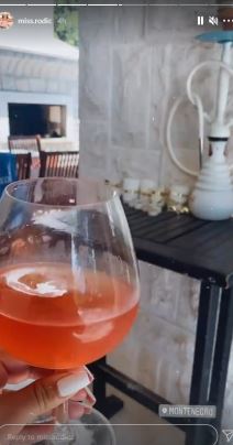 natasa rodic sestra bogdana raznatovic