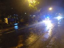 Drvo palo na ulicu na Banovom brdu zbog nevremena