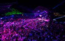 Laća o Ceci Ražnatović