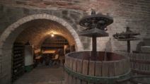 Stari Ledinci (4)