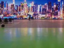 naslovna željko mitrović