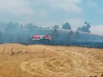 Mokra Gora požar (4)