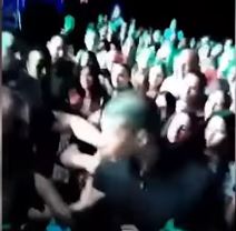 Obezbeđenje udarilo mladića na Rastinom nastupu