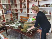 lekovito bilje gornji milanovac  (4)