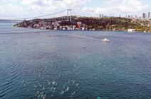 bosfor plivanje  (11)