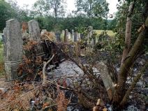 zapaljeno groblje selo pored topole (4)