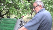 Momir Glišić mašina za kupljenje šljiva (1)