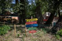 Pancevo Bela Stena-37