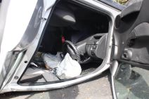 udes na Košutnjaku  (3)