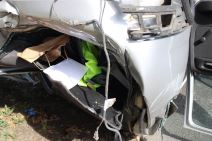 udes na Košutnjaku  (4)