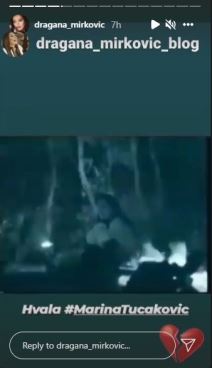 dragana-mirkovic-2
