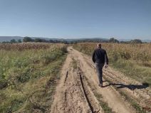 mesto gde je nadjen zapaljen pasat (4)