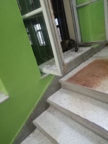 Bolnica u Čačku, Lisica (2)