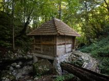 Sava Savanović (8 of 11)