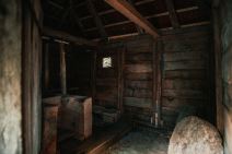 Sava Savanović (9 of 11)