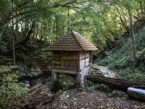 Sava Savanović (10 of 11)