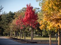 Beograd Instagram-10