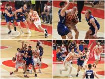 kk crvena zvezda, alba, evroliga