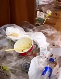 Nered u stanu (5).png