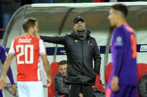 Klop-Natalijina Ramonda (2).jpg