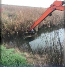 Ispovest teče dečaka stradalog u udesu kod Beograda