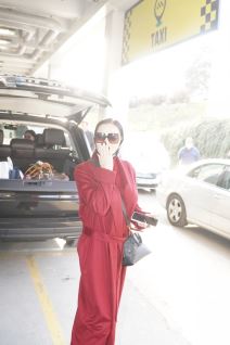 Ceca Porodica Aerodrom (3).jpg