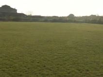 Aleksandar Mitrović - fudbalski počeci