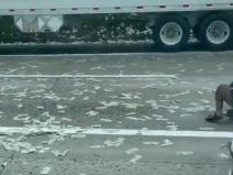 Pare po putu san dijego 3.jpg