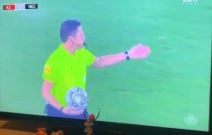 navijači na terenu 3.jpg